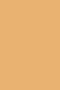 Best Siding Company Images