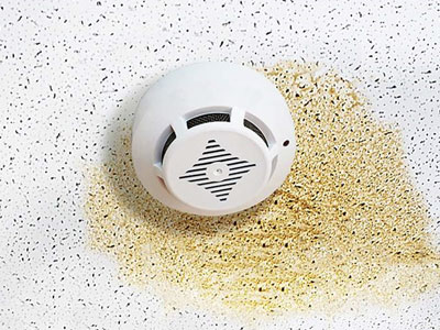 Best Siding Company Images